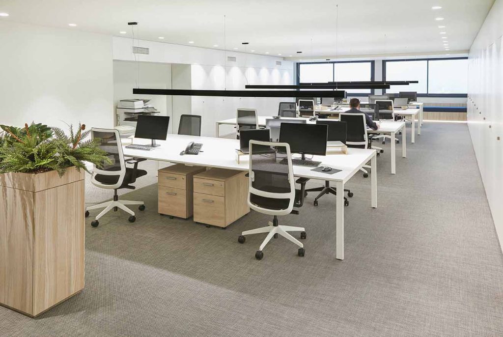 Zenit new offices